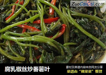 腐乳椒丝炒番薯叶
