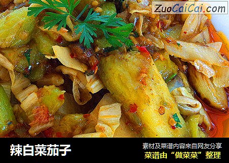 辣白菜茄子
