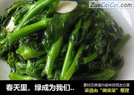 春天里，绿成为我们餐桌上一道亮---亲亲（青青）小菜心