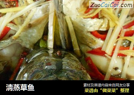 淸蒸草鱼