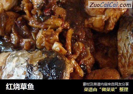 红烧草鱼
