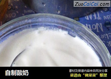 自制酸奶