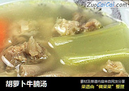 胡萝卜牛腩汤
