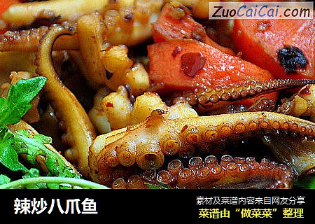 辣炒八爪鱼
