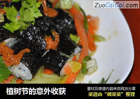 植树节的意外收获