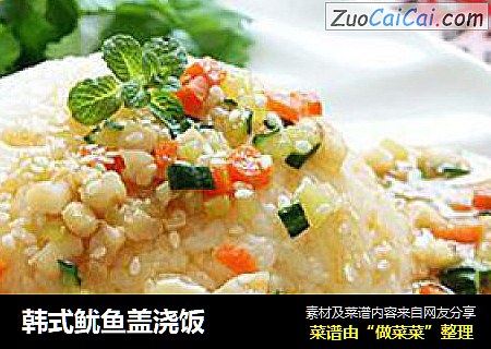 韩式鱿鱼盖浇饭