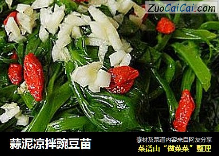 蒜泥凉拌豌豆苗