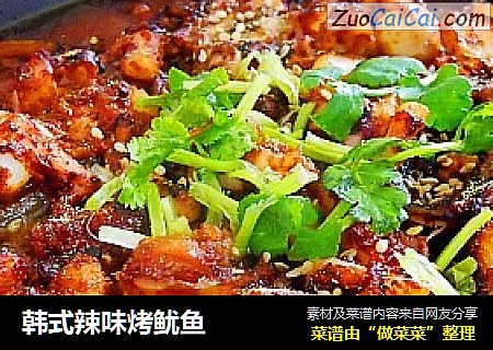 韩式辣味烤鱿鱼