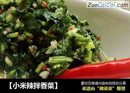 【小米辣拌香菜】