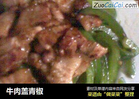 牛肉盖青椒