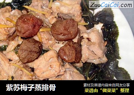 紫苏梅子蒸排骨