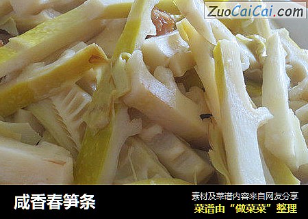 咸香春笋条