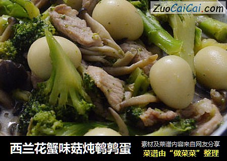 西兰花蟹味菇炖鹌鹑蛋