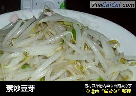 素炒豆芽