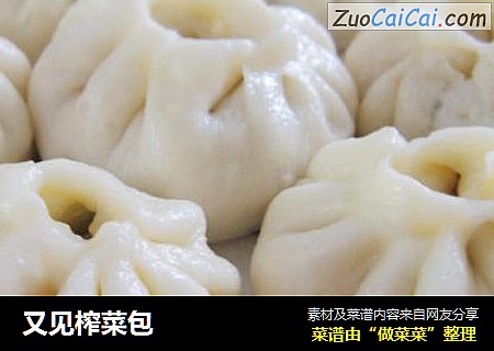 又见榨菜包