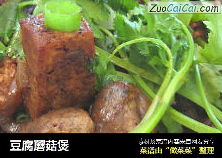 豆腐蘑菇煲
