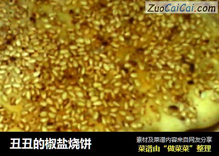 丑丑的椒盐烧饼