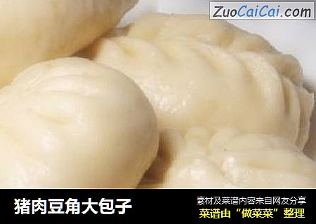 猪肉豆角大包子