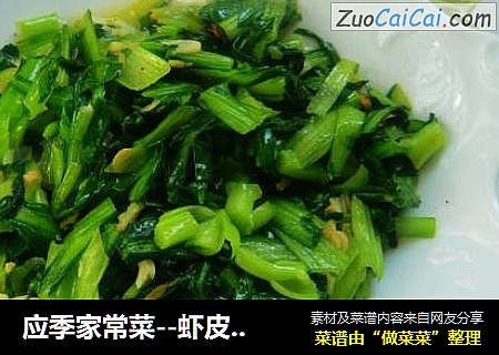 应季家常菜--虾皮菜心