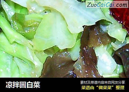 凉拌圆白菜