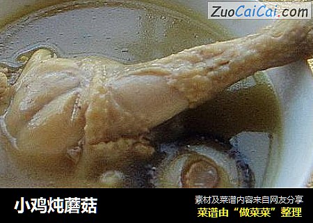小鸡炖蘑菇