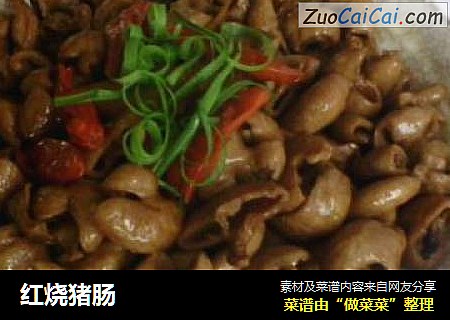 红烧猪肠