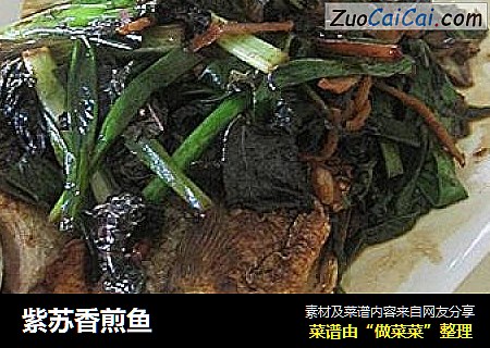 紫苏香煎鱼