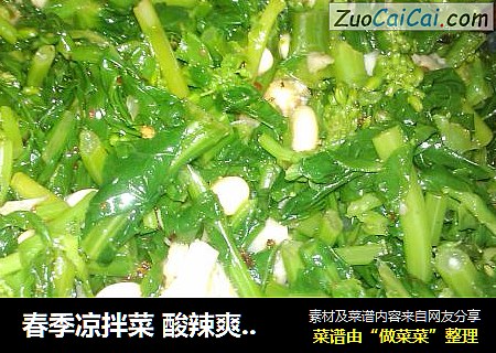 春季凉拌菜 酸辣爽口油菜伴黄豆