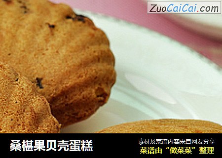 桑椹果贝壳蛋糕