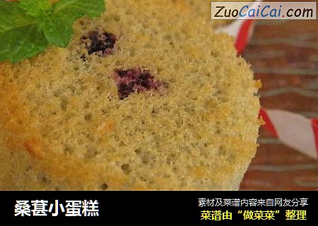 桑葚小蛋糕
