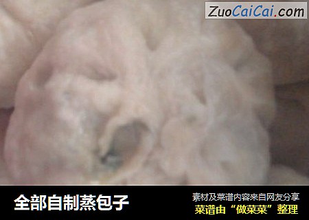 全部自制蒸包子