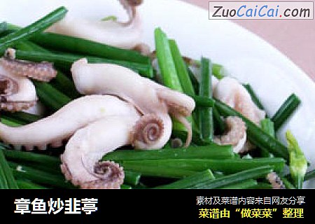 章鱼炒韭葶