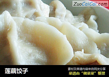 莲藕饺子