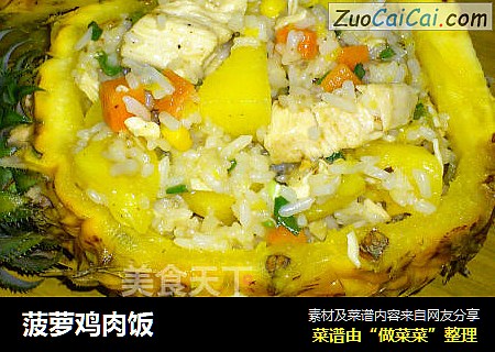 菠萝鸡肉饭