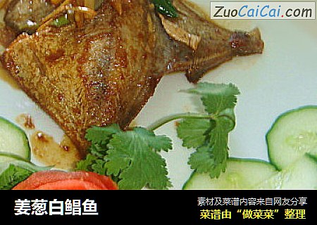 姜葱白鲳鱼
