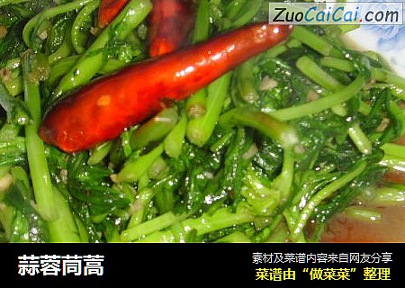 蒜蓉茼蒿