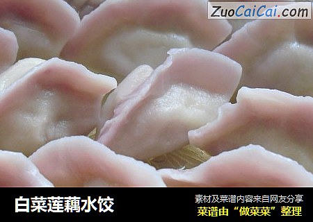 白菜莲藕水饺