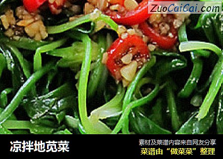 凉拌地苋菜