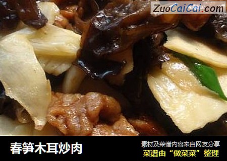 春笋木耳炒肉