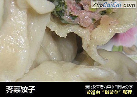 荠菜饺子
