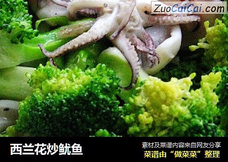 西兰花炒鱿鱼