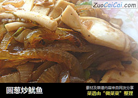 圆葱炒鱿鱼