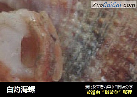 白灼海螺