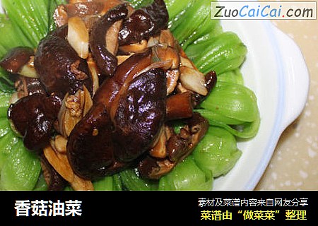 香菇油菜