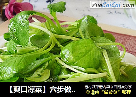 【爽口凉菜】六步做出好吃小凉菜---凉拌萝卜苗