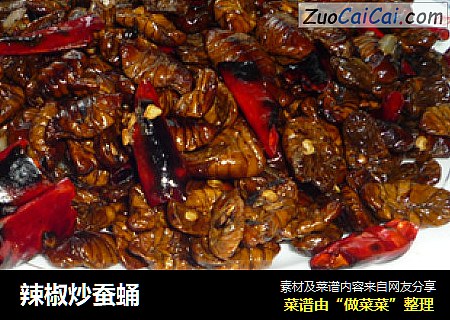 辣椒炒蚕蛹