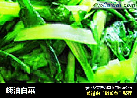 蚝油白菜