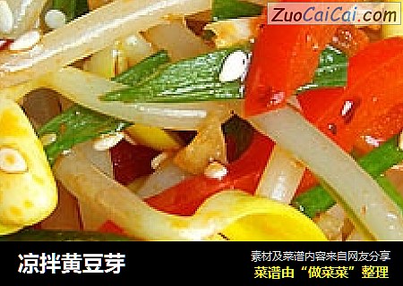 凉拌黄豆芽