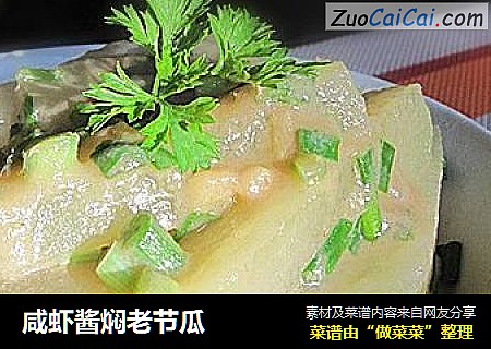 咸虾酱焖老节瓜