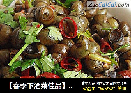 【春季下酒菜佳品】香辣爆螺狮